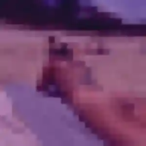 Charmante Thais, 38 ans à Chanu - voir sa photo