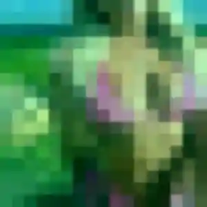 Charmante Syrine, 29 ans à Chartainvilliers - découvrir son profil