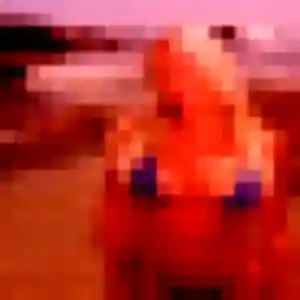 Photo perso de Inaya, 34 ans à Chartrettes - rencontre coquine