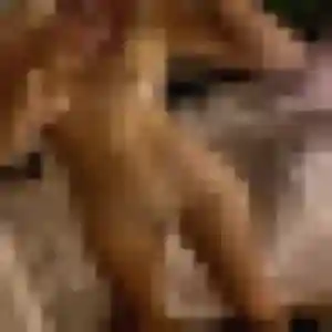 Lina, femme de 33 ans cherche plan cul à Châteaulin
