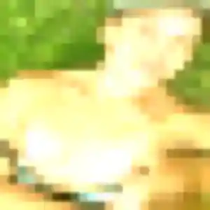 Anouk (33 ans) à Châteauroux attend un plan cul maintenant