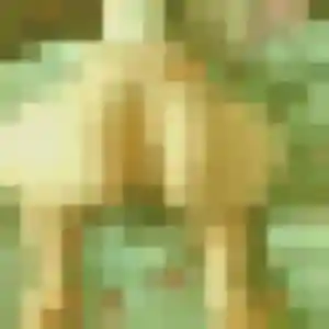 Violette de Châtillon-en-Vendelais, 28 ans - plan cul sans prise de tête