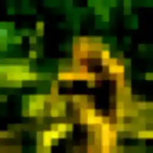 Profil de Colombe à Chaumont-sur-Loire (23 ans) - plan cul anonyme