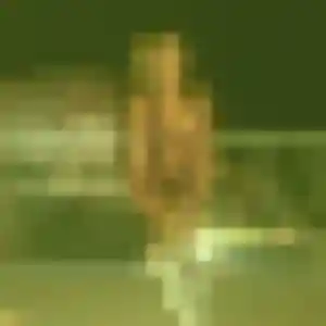 Profil de Tessa à Chaumont-sur-Tharonne (31 ans) - plan cul discret