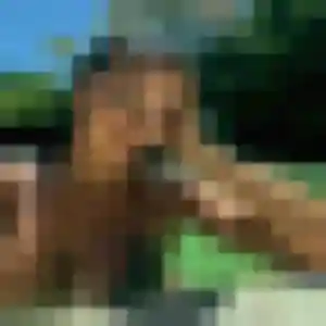 Syrine, fille de 39 ans propose plan cul à Cherisy