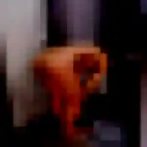 plan cul à Chevilly : profil de Eleonore, 24 ans - inscription gratuite