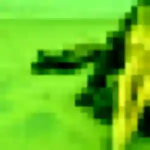 Elena, femme de 31 ans veut plan cul à Chevreuse