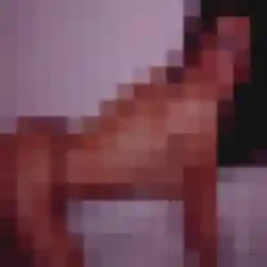 Belle Justine, 27 ans à Chitenay - voir sa photo