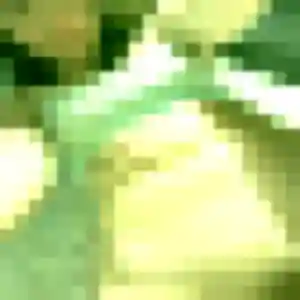 Photo privée de Violette, 32 ans à Chuisnes - rencontre coquine