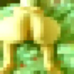 Violette, 21 ans, disponible à Cires-lès-Mello pour une rencontre coquine