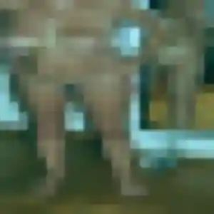 Apolline, 31 ans, en ligne à Cluis pour une rencontre coquine