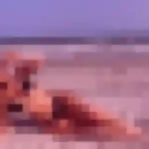Thais, 19 ans, connectée à Coimères pour un plan cul