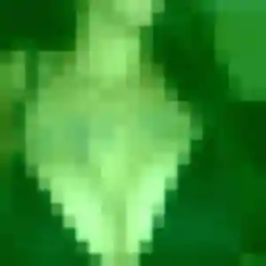 Mahaut, 39 ans, cherche un plan cul à Colleret