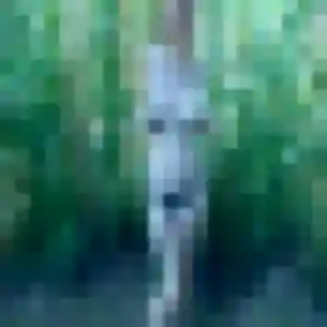 Candice, 34 ans, cherche un plan cul à Coltainville