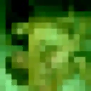 Photo de Safiya à Coltainville (27 ans) - plan cul sans inscription