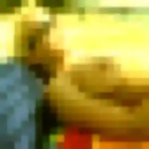 Isaure, 23 ans, en ligne à Condé-sur-Risle pour un plan cul