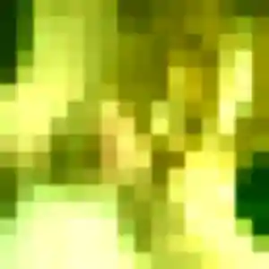 Profil de Cassandre à Condé-sur-Sarthe (24 ans) - plan cul discret