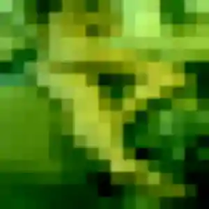 Lya, 34 ans, en ligne à Condé-sur-Vesgre pour une rencontre coquine