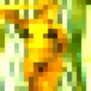 Romane de Condé-sur-Vire, 25 ans - plan cul sans prise de tête