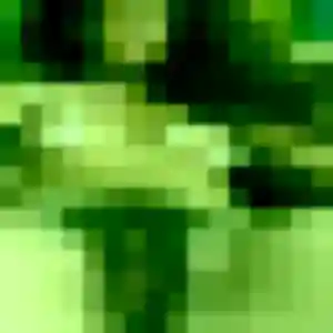 Profil de Thais à Condren (39 ans) - plan cul gratuit