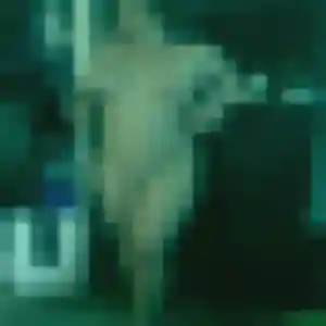 Photo privée de Salome, 26 ans à Conflans-Sainte-Honorine - rencontre coquine