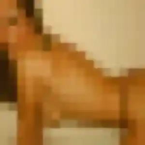 Prisca, 34 ans, connectée à Congrier pour une rencontre coquine