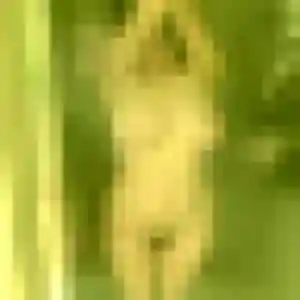 Lena, 29 ans, dispo pour plan cul à Corcelles-lès-Cîteaux