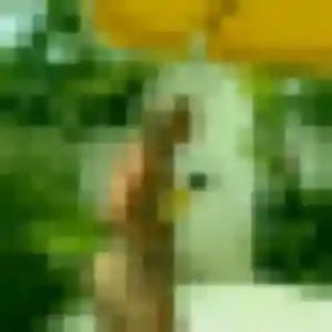 plan cul à Cormeilles-en-Parisis : photo de Tatiana, 33 ans - sans engagement