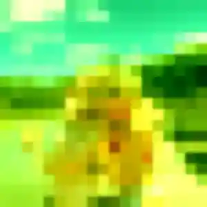 Photo exclusive de Lina, 37 ans à Cormeilles - rencontre coquine