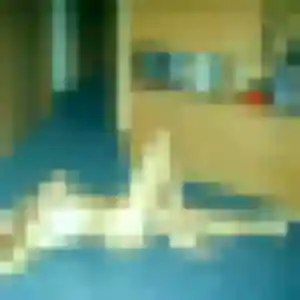 Photo privée de Aya, 37 ans à Cormery - rencontre sans lendemain