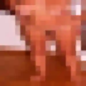 Sexy Eleonore, 25 ans à Cosnes-et-Romain - voir sa photo