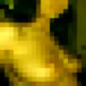 Belle Zara, 30 ans à Coulogne - découvrir son profil