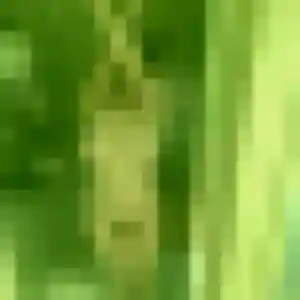 Lena de Coulombs, 32 ans - plan cul en toute liberté