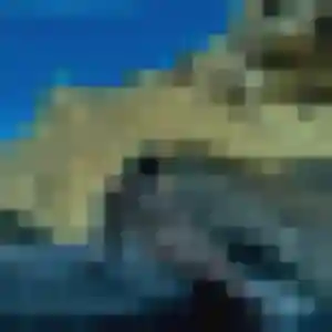 Belle Alix, 30 ans à Coulomby - la contacter