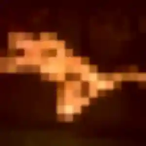 Lina, 23 ans, disponible à Courbépine pour une rencontre coquine