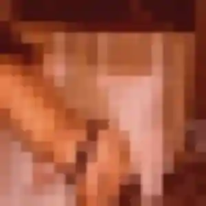 Rencontre Honorine, 38 ans à Courcelles-lès-Gisors en t'inscrivant