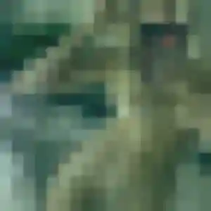 Safiya, 27 ans, dispo pour plan cul à Crespières