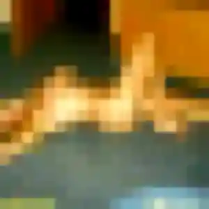 Photo de Emna à Cruviers-Lascours (31 ans) - plan cul anonyme
