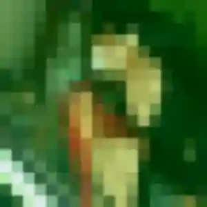 Jolie Sienna, 30 ans à Cuffies - la contacter