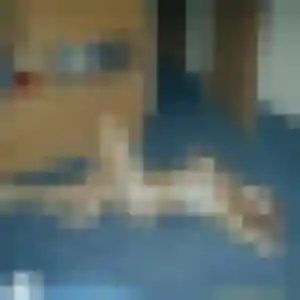 Photo de Emna à Cunlhat (32 ans) - plan cul anonyme
