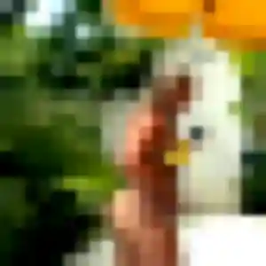 Profil de Safiya à Cusy (37 ans) - plan cul anonyme