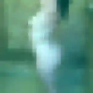 Photo exclusive de Manel, 37 ans à Cuttoli-Corticchiato - rencontre coquine