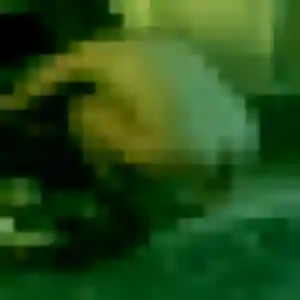 Photo privée de Apolline, 33 ans à Cuvry - rencontre coquine