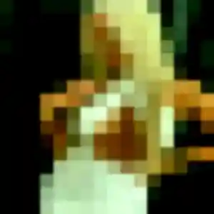 Colombe, 21 ans, veut un plan cul à Dammarie