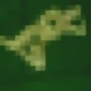 Tatiana, 39 ans, veut un plan cul à Dampierre-en-Yvelines