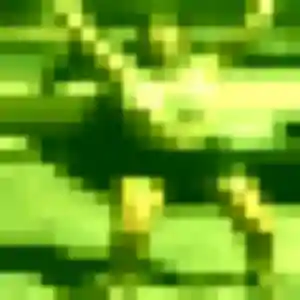 Photo exclusive de Elena, 35 ans à Darvault - rencontre sans lendemain