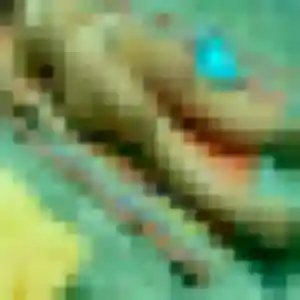 Solene, 20 ans, cherche un plan cul à Démouville