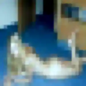 Louna de Derval, 27 ans - plan cul en toute liberté