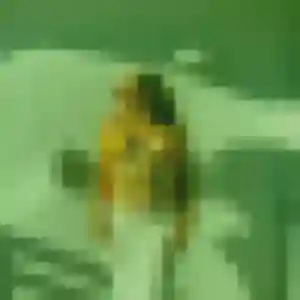 Alya, 38 ans, dispo pour plan cul à Deux-Grosnes