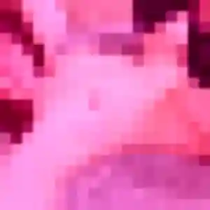 Découvre Anouk, 25 ans à Domfront en Poiraie en t'inscrivant